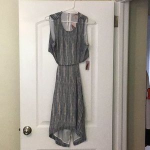 Navy/blush Forever 21 dress